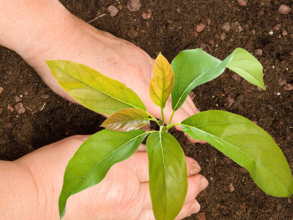 与春天相约，共建绿色家园